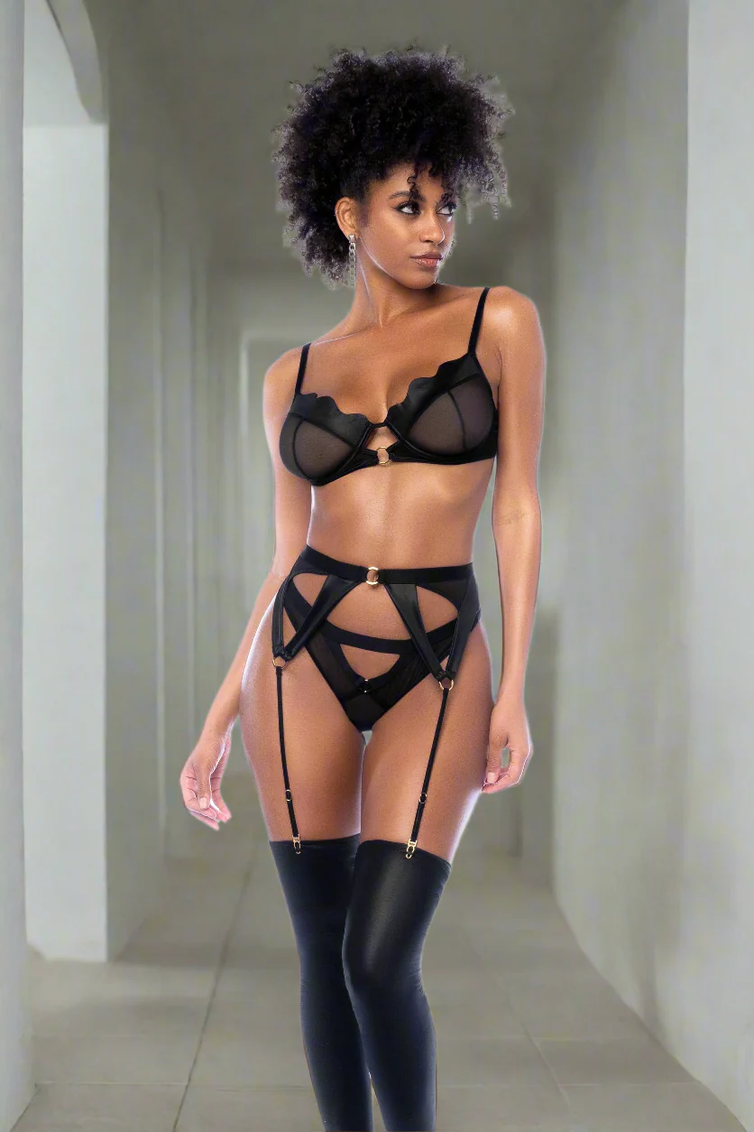 Black Sheer Mesh Underwire Bra, Garter Belt & Thong Panty Lingerie