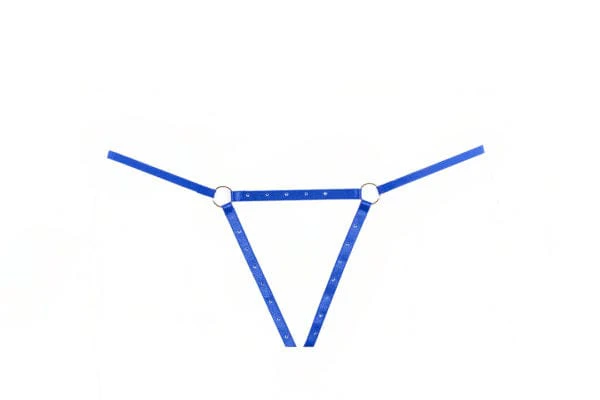 Blue Rhinestone Straps Ashley Garter & Panty Set Lingerie - Image 4