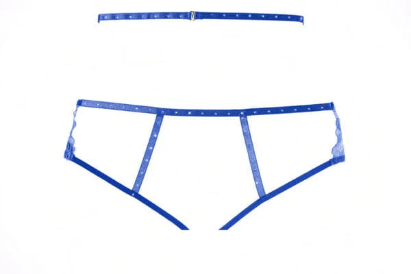 Blue Charlotte Lace Crotchless Garter Panty Lingerie - Image 4