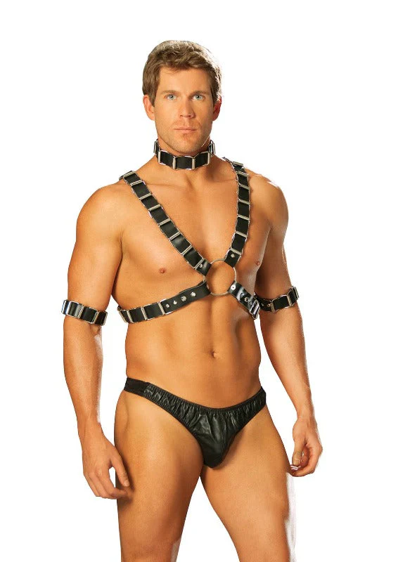 Men’s Black Leather Arm Bands & Collar Harness Set