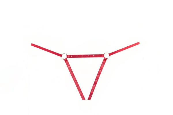 Red Rhinestone Straps Ashley Garter & Panty Set Lingerie - Image 4