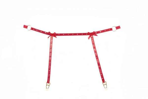 Red Rhinestone Straps Ashley Garter & Panty Set Lingerie - Image 6
